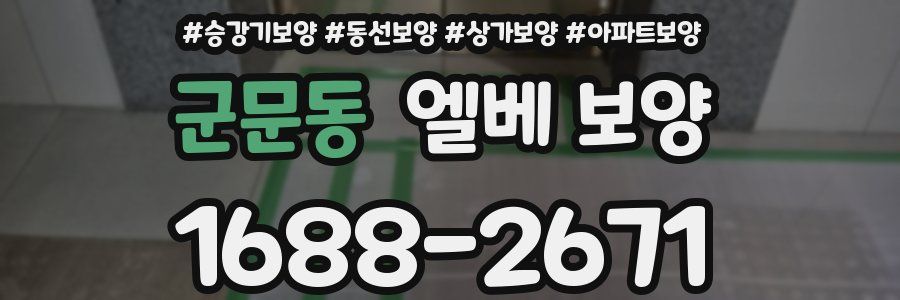 군문동 엘베 보양