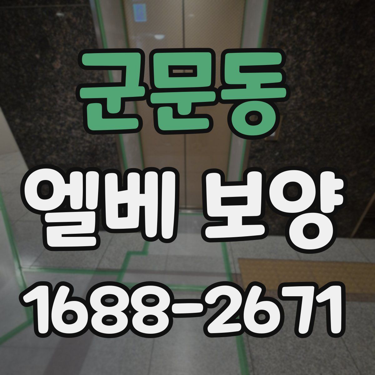 군문동 엘베 보양