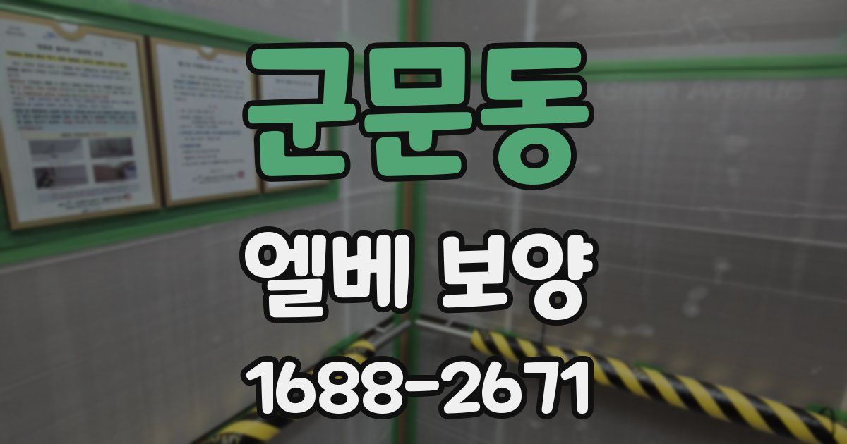 군문동 엘베 보양