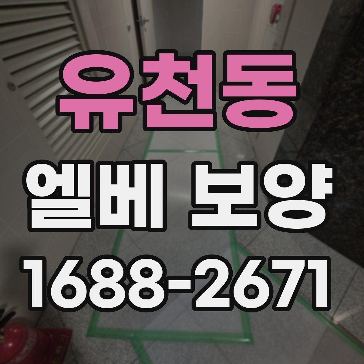 유천동 엘베 보양 승강기 내부 오염원 차단 포인트