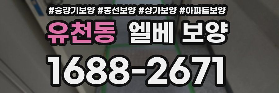 유천동 엘베 보양
