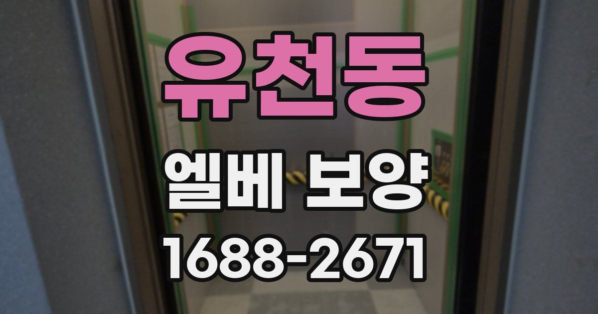 유천동 엘베 보양