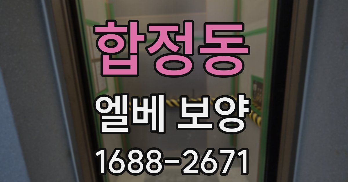 합정동 엘베 보양
