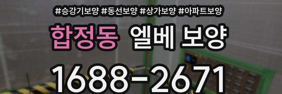 합정동 엘베 보양