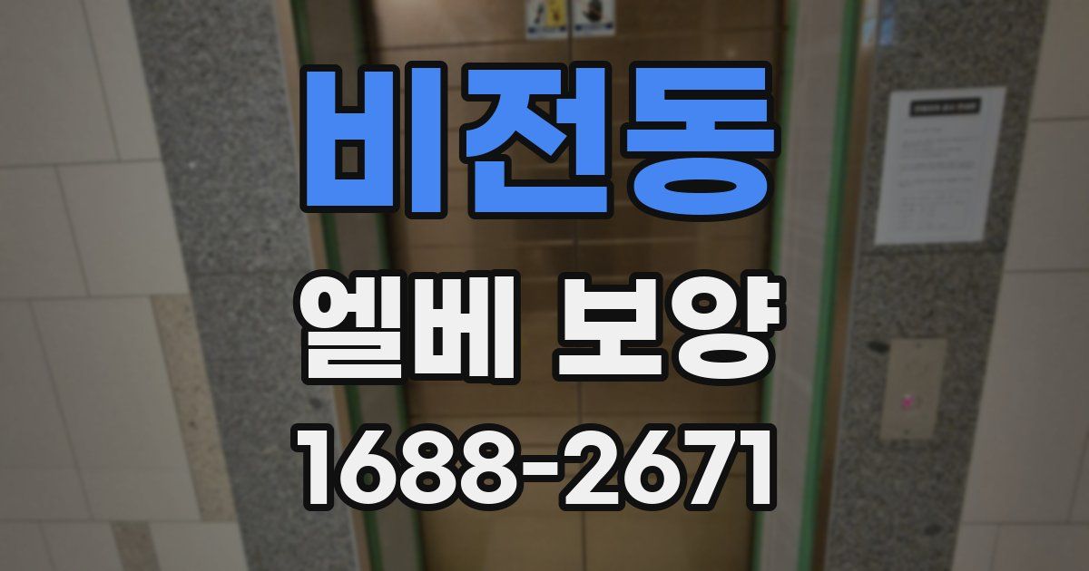 비전동 엘베 보양