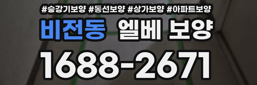 비전동 엘베 보양