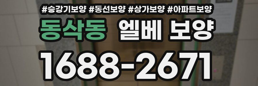 동삭동 엘베 보양