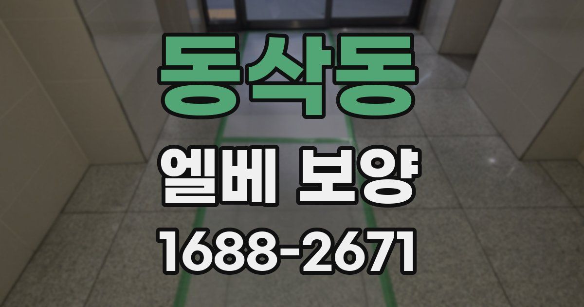 동삭동 엘베 보양