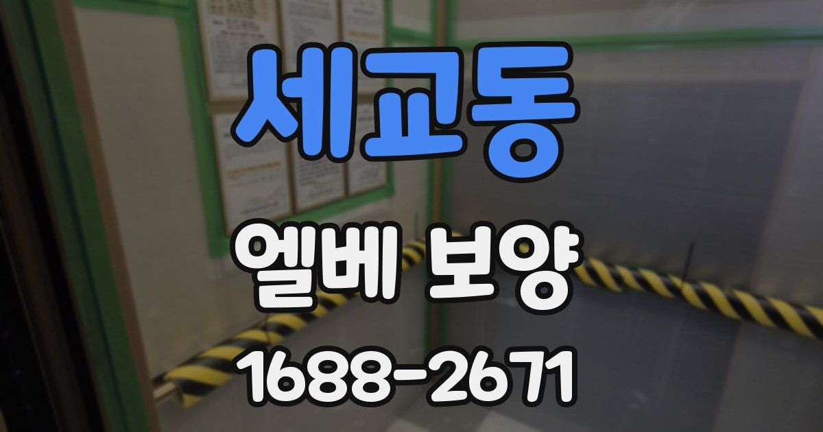 세교동 엘베 보양