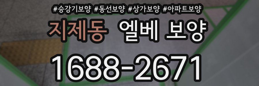 지제동 엘베 보양