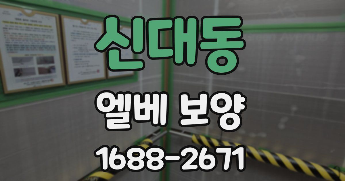 신대동 엘베 보양