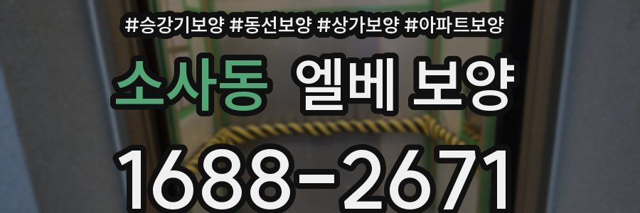 소사동 엘베 보양
