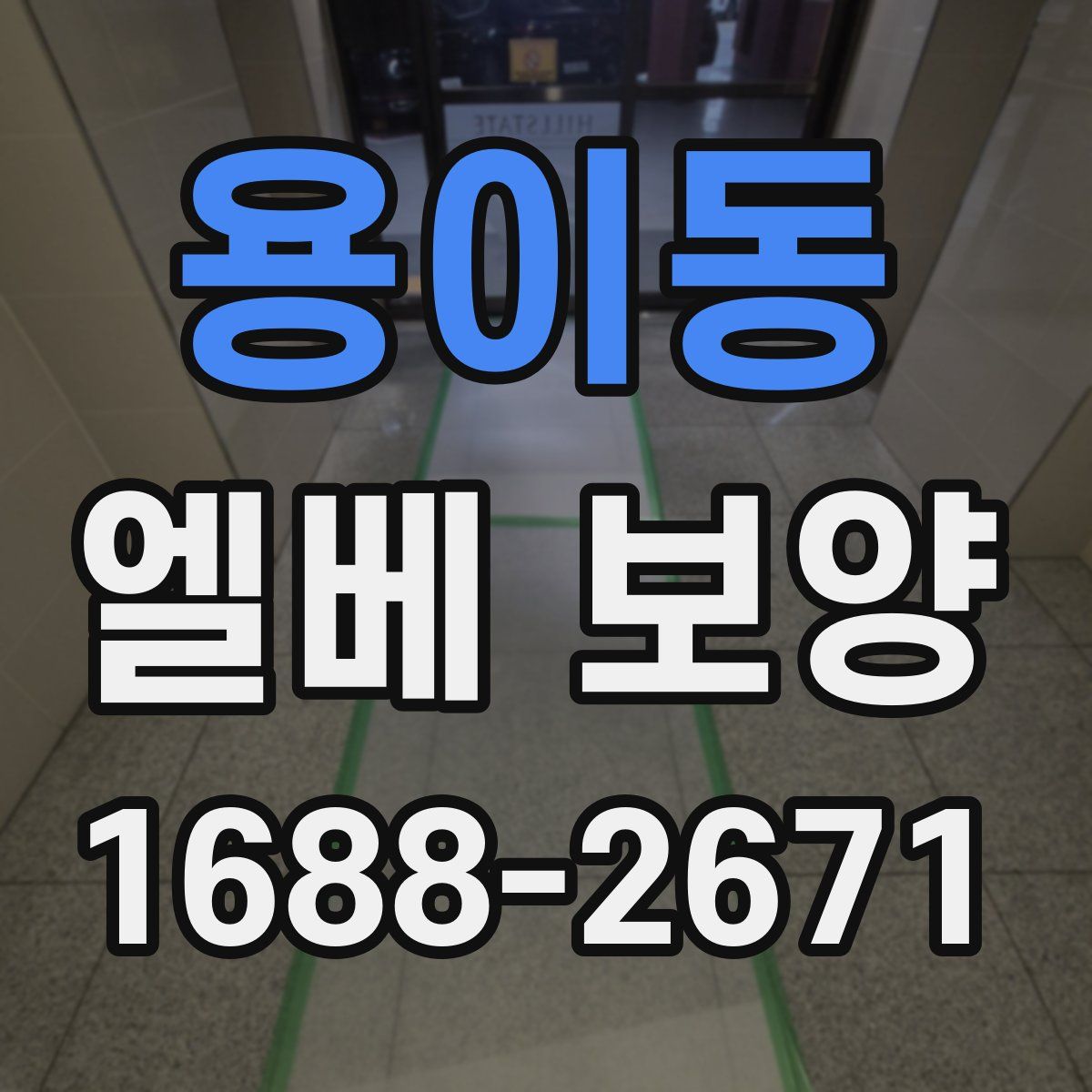 용이동 엘베 보양