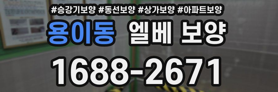 용이동 엘베 보양
