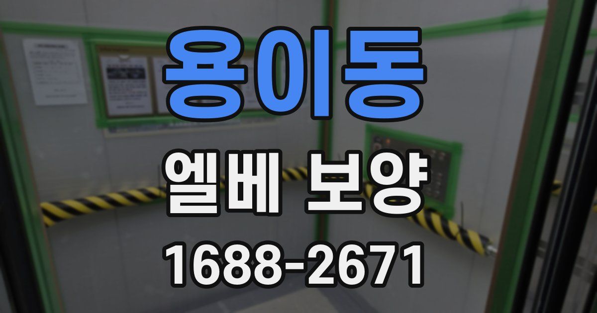용이동 엘베 보양