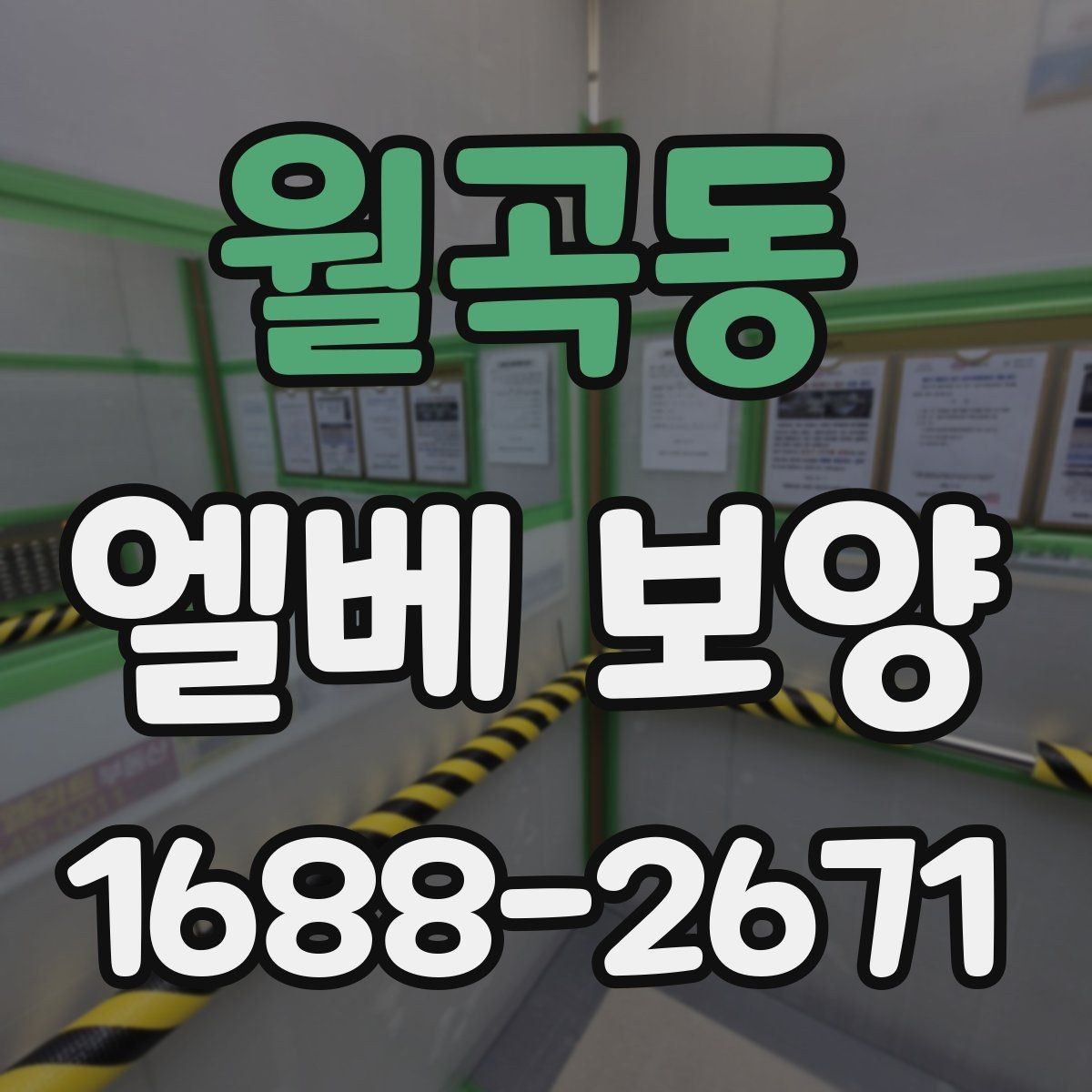 월곡동 엘베 보양 엘리베이터 내부 오염원 차단 포인트