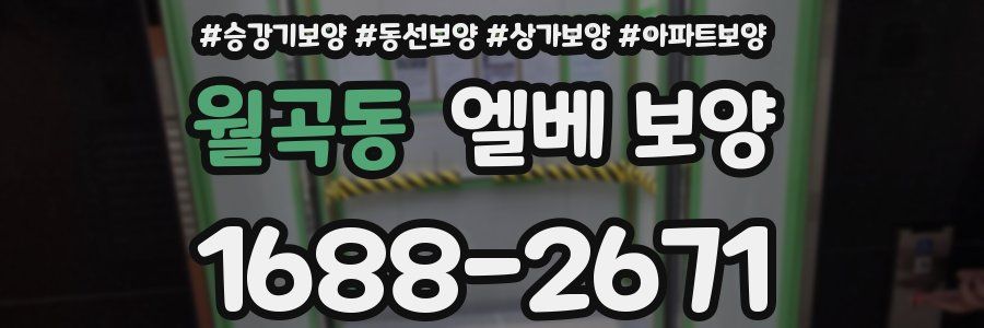월곡동 엘베 보양