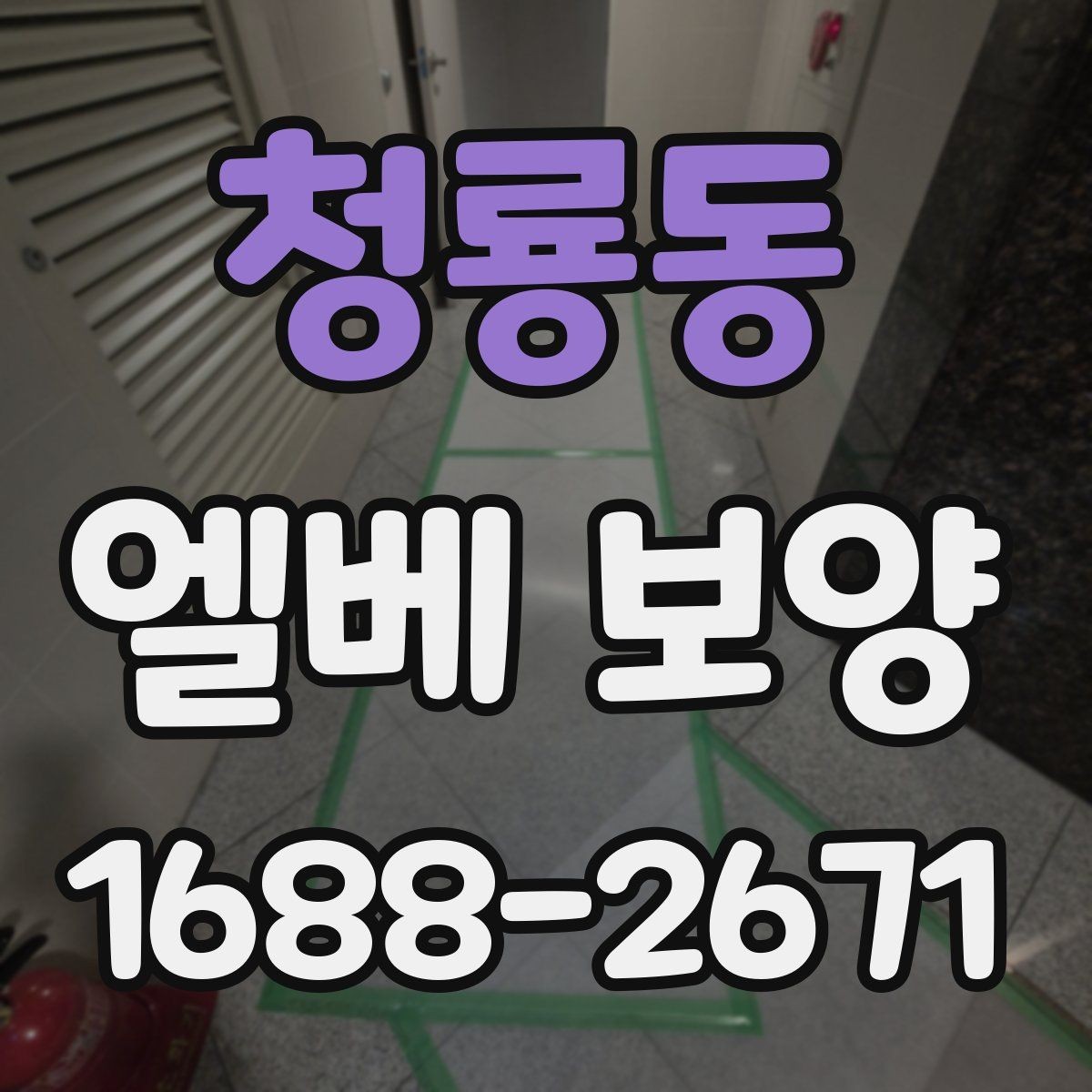 청룡동 엘베 보양 바닥 벽면 거울 자재를 구분하는 이유