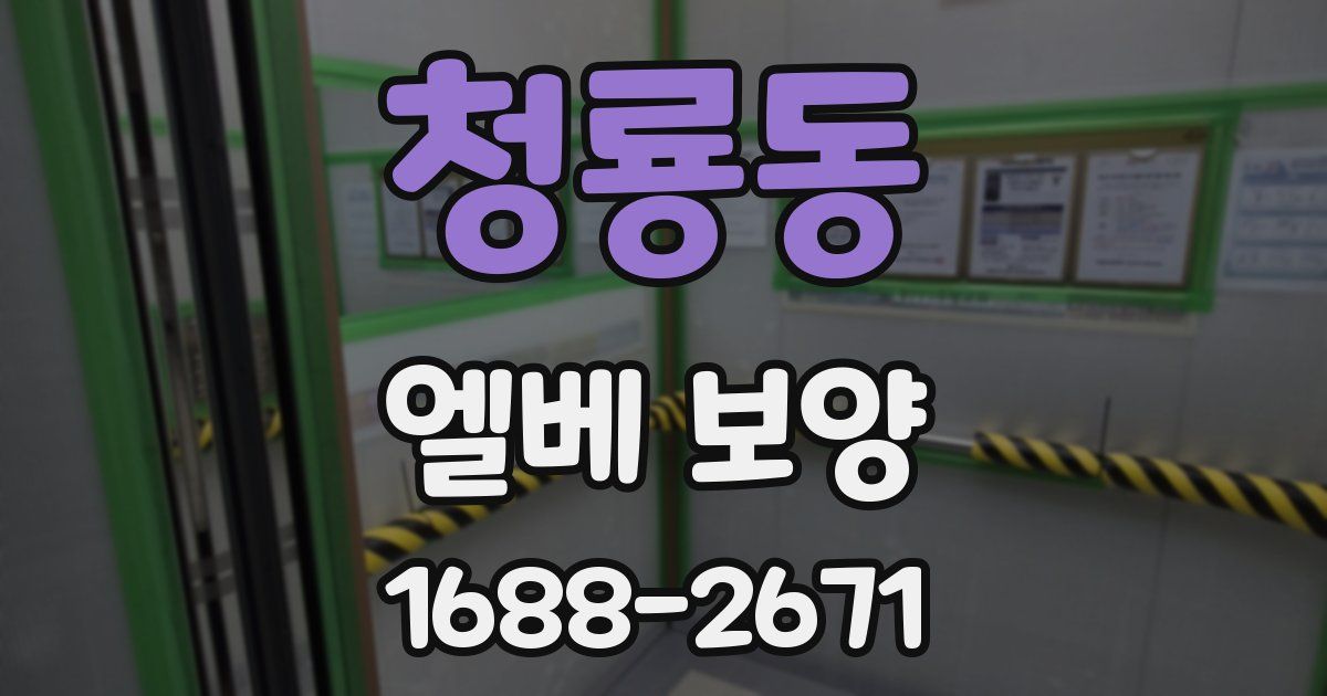 청룡동 엘베 보양