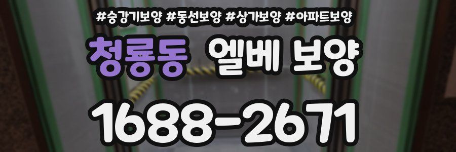 청룡동 엘베 보양