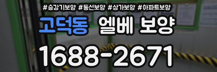 고덕동 엘베 보양