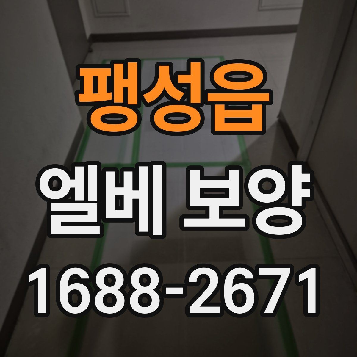 팽성읍 엘베 보양 누락이 잦은 구간부터 살펴보기