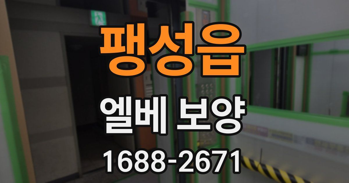 팽성읍 엘베 보양