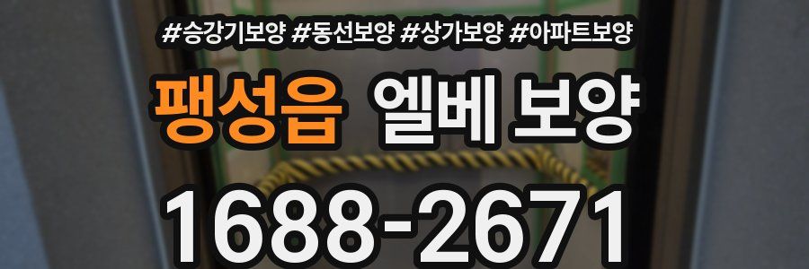 팽성읍 엘베 보양