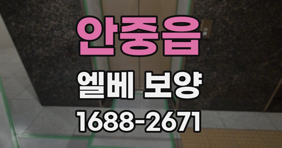 안중읍 엘베 보양