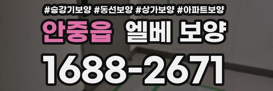 안중읍 엘베 보양
