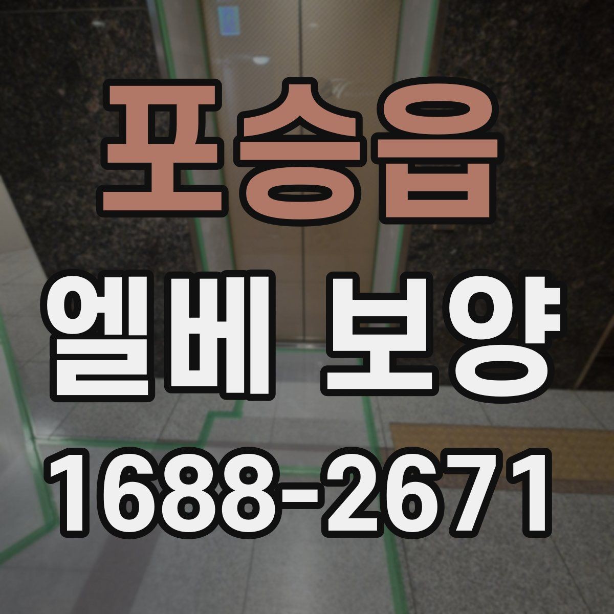 포승읍 엘베 보양 승강기 내부와 출입부를 나눠 보는 기준