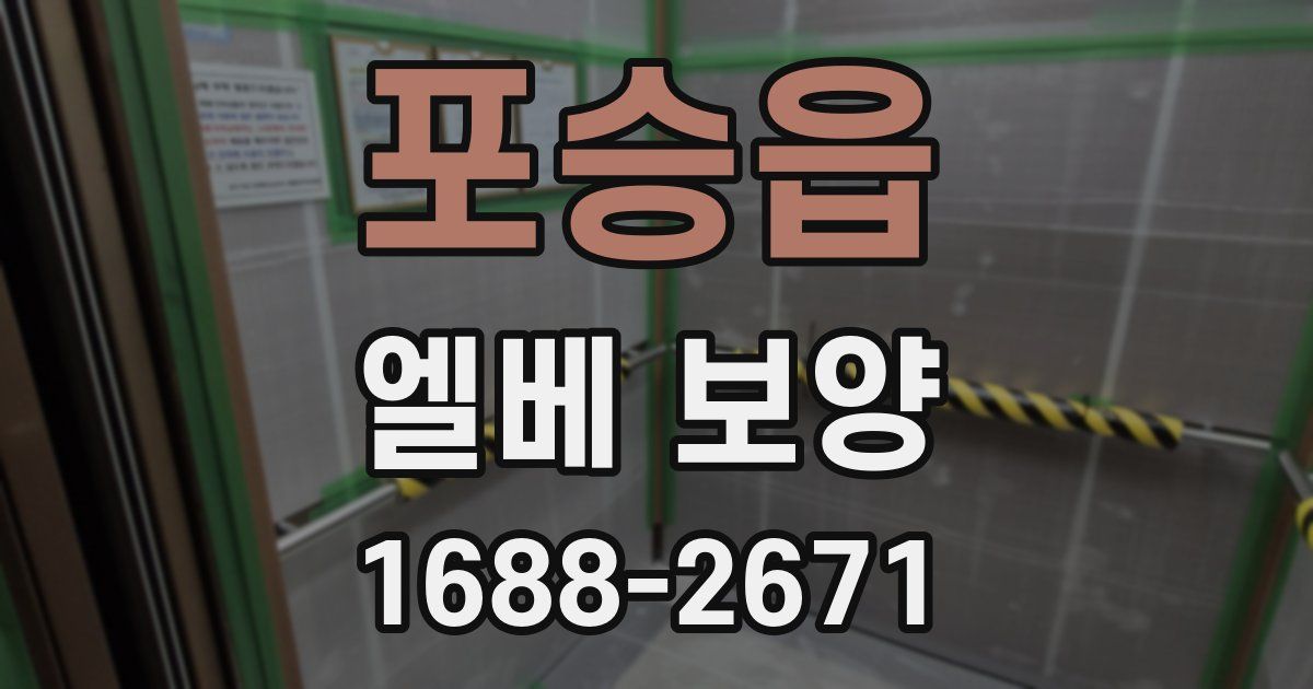 포승읍 엘베 보양