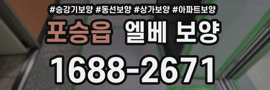 포승읍 엘베 보양