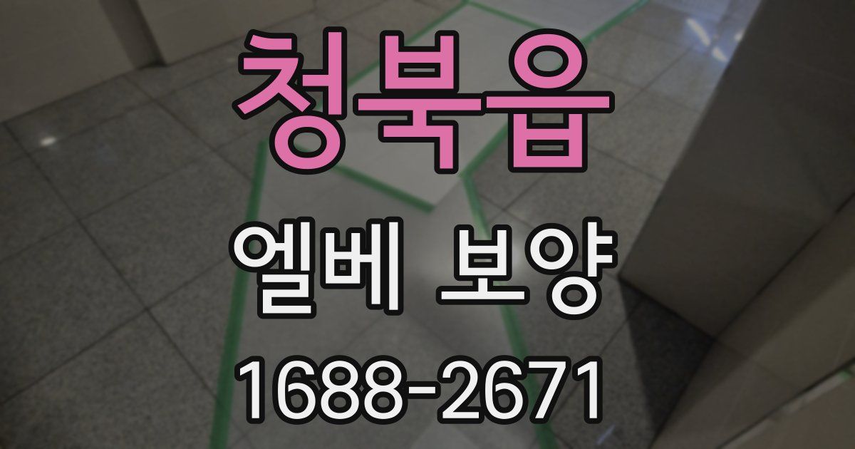 청북읍 엘베 보양