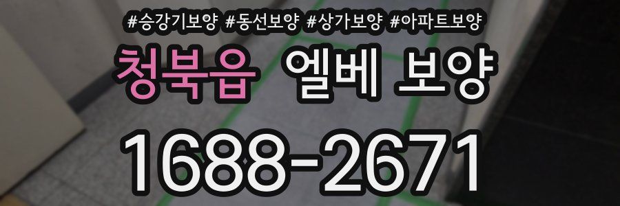 청북읍 엘베 보양