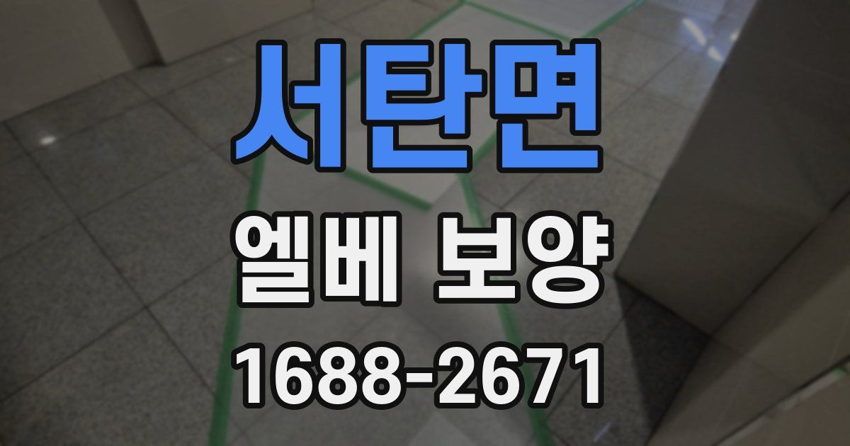 서탄면 엘베 보양