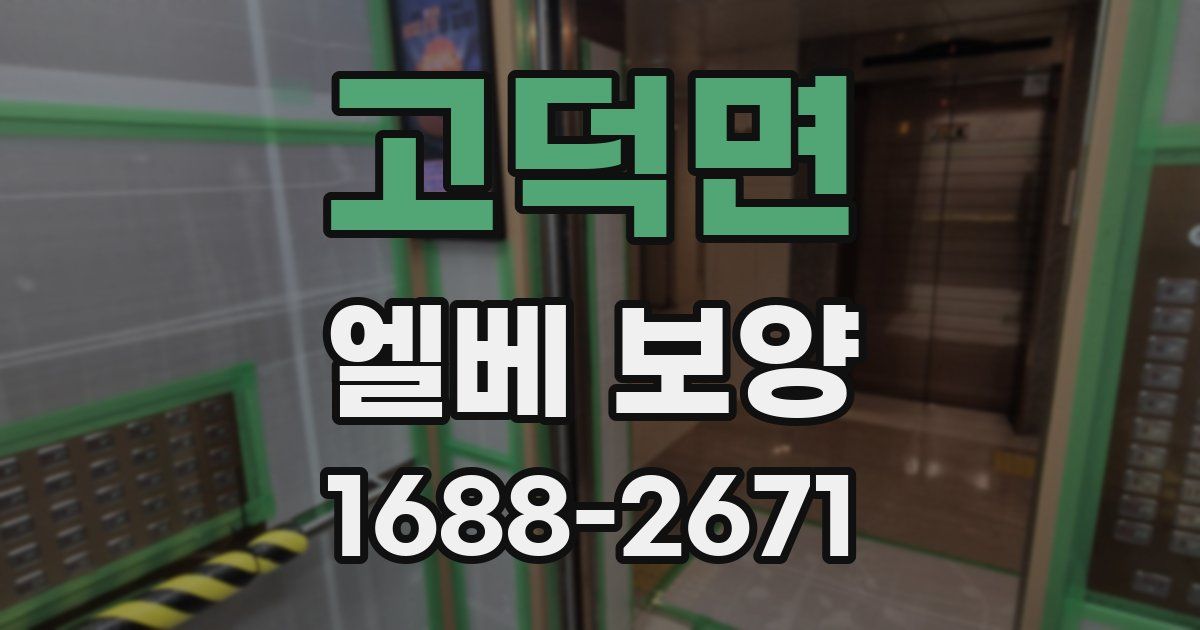 고덕면 엘베 보양