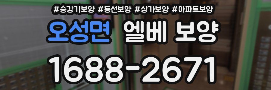 오성면 엘베 보양