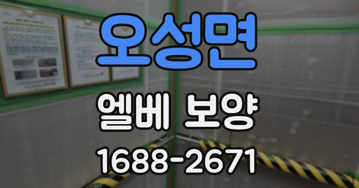 오성면 엘베 보양