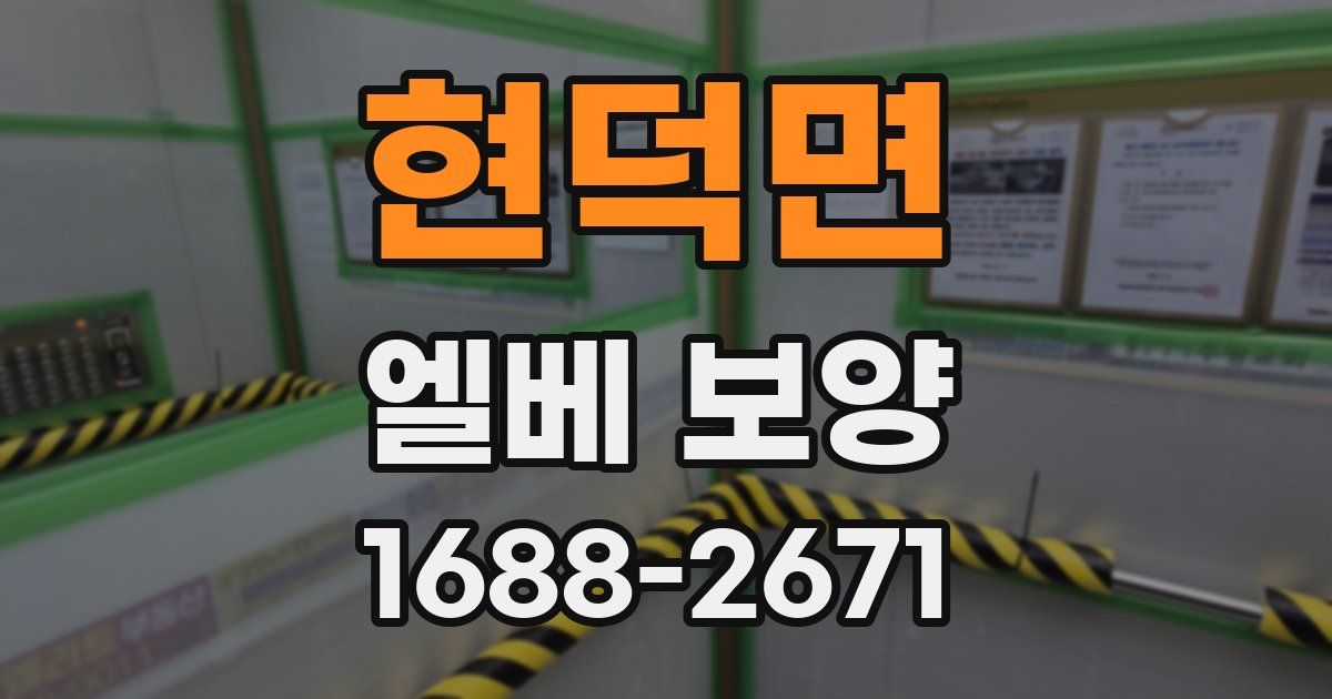현덕면 엘베 보양