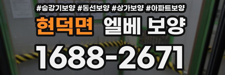 현덕면 엘베 보양