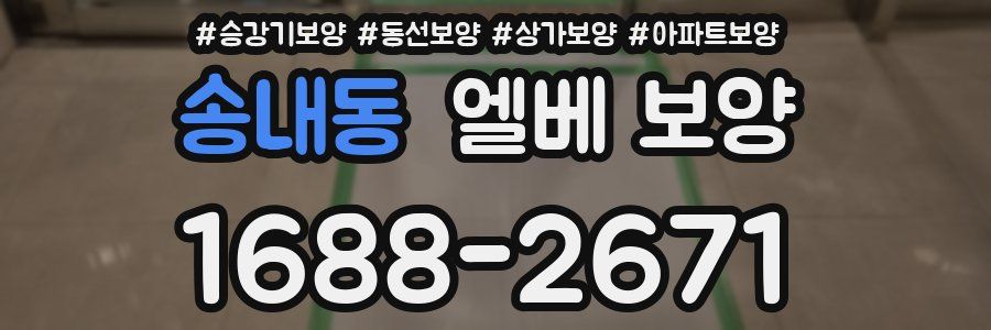 송내동 엘베 보양