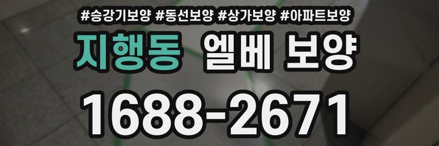 지행동 엘베 보양