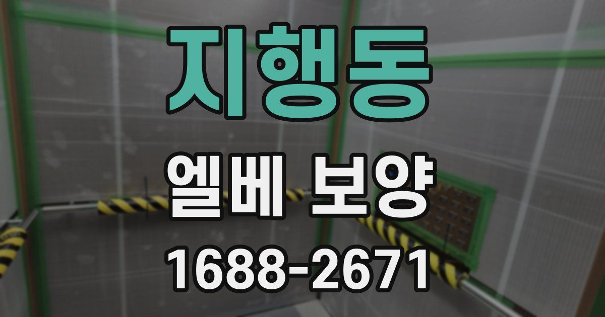 지행동 엘베 보양