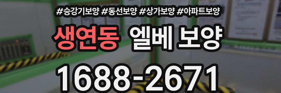 생연동 엘베 보양