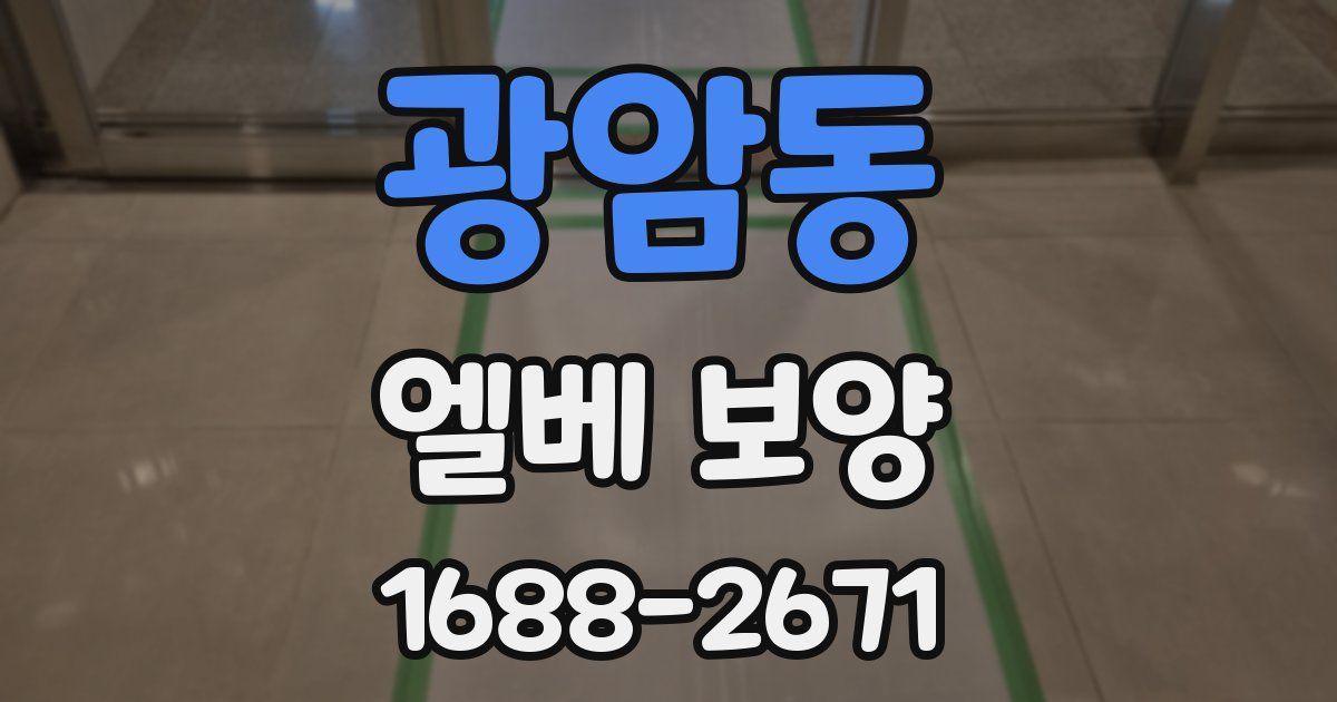 광암동 엘베 보양