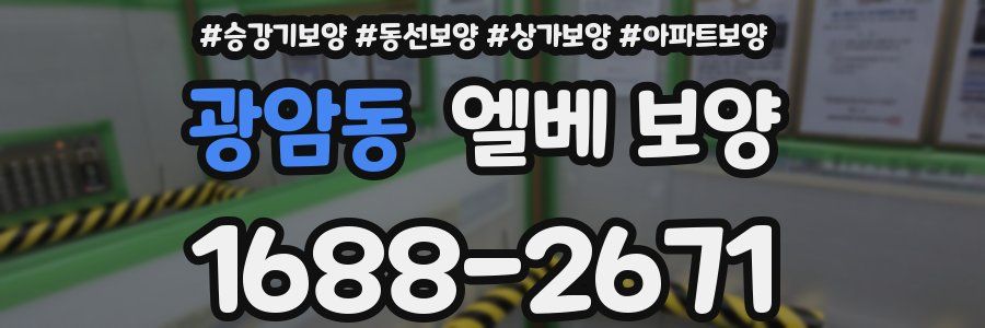 광암동 엘베 보양