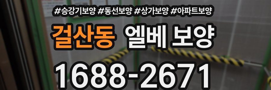 걸산동 엘베 보양