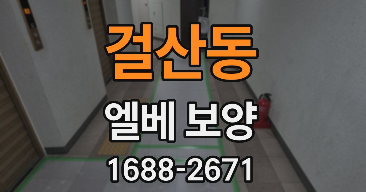 걸산동 엘베 보양
