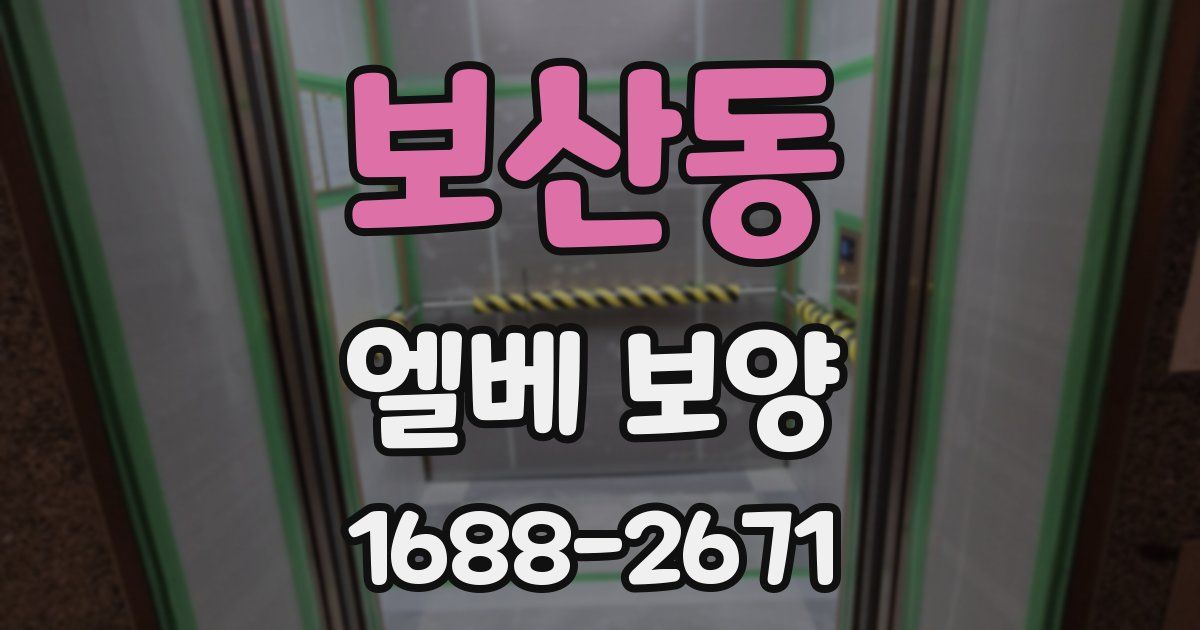 보산동 엘베 보양